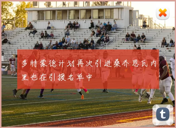 多特蒙德计划再次引进桑乔恩瓦内里也在引援名单中